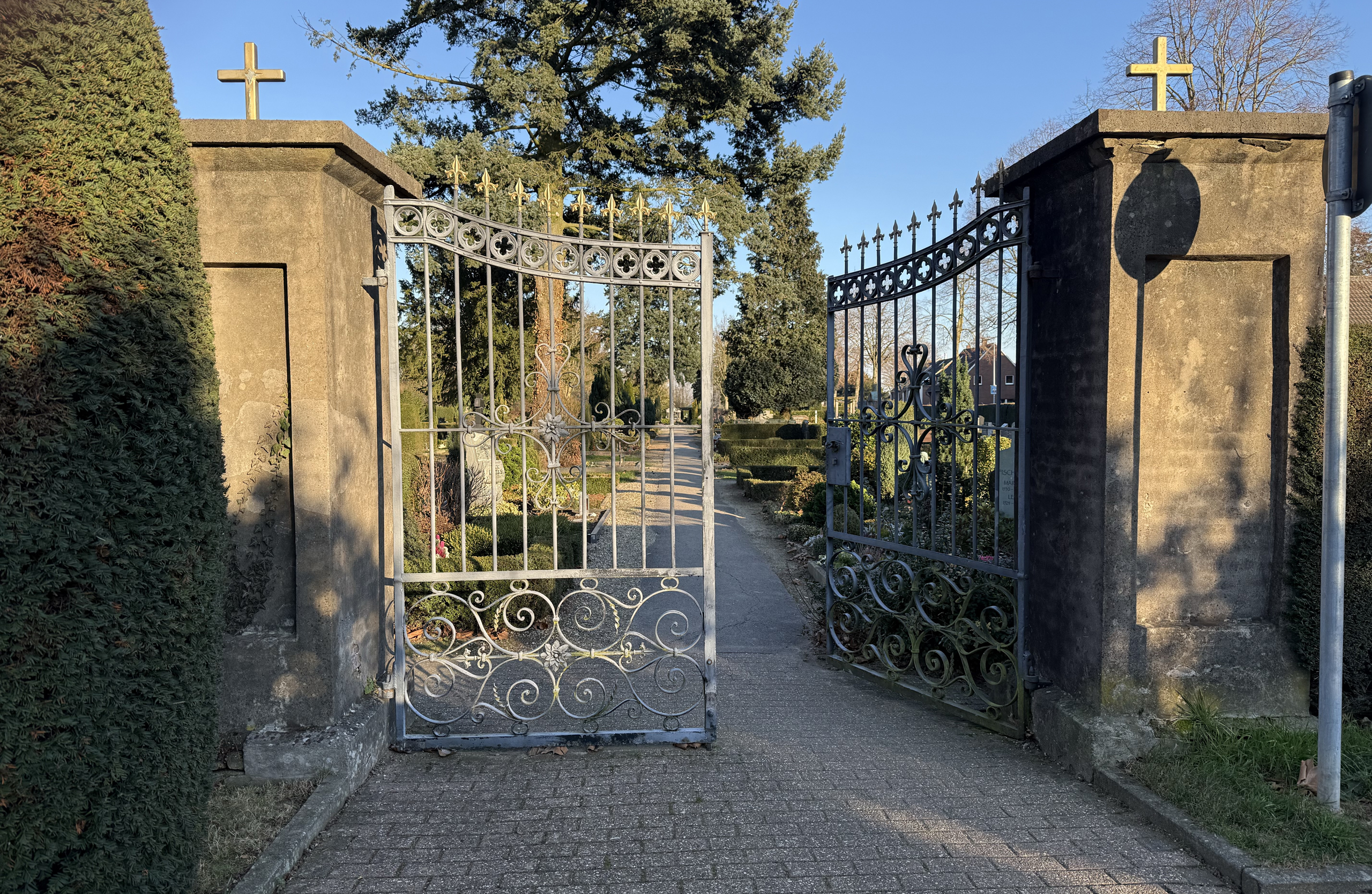 Dauer- und Saisongrabpflege