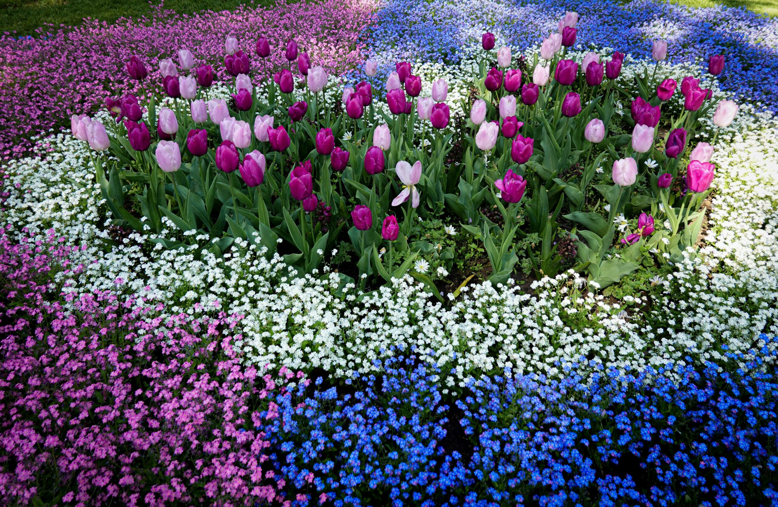 Ein Partner, dem Sie vertrauen können